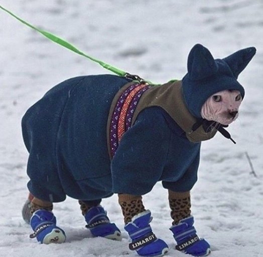 Egy kis reggeli séta...