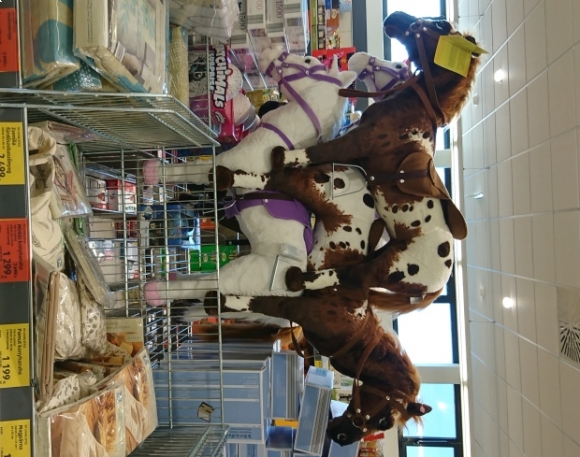 Egy újabb Aldis kép...