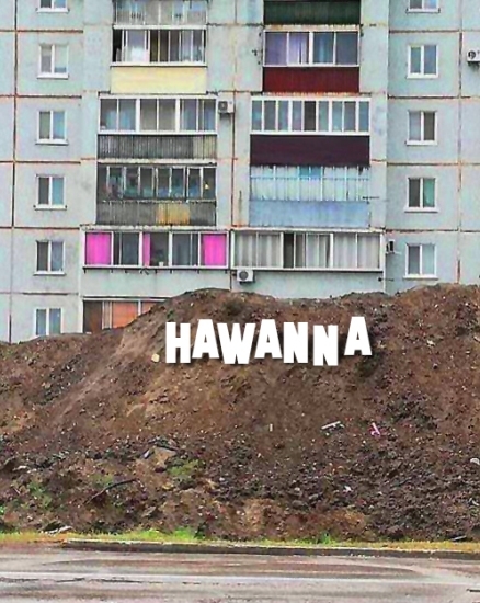 Ahol az álmok valóra válnak