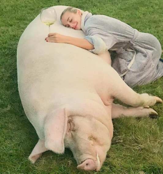 Egy képen minden, amit szeretek