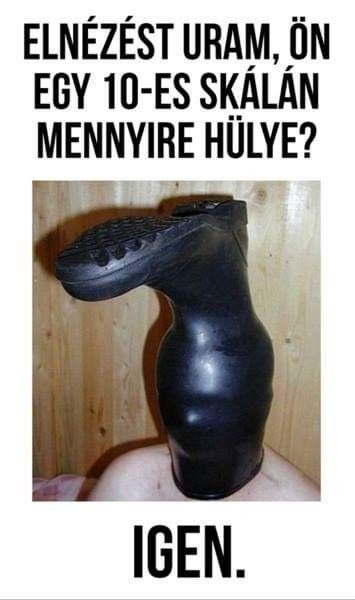 Befutott a nap kérdése