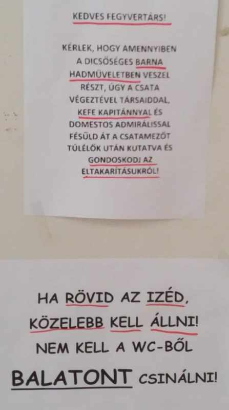 Keszthely, VSZK kollégium, WC ajtó