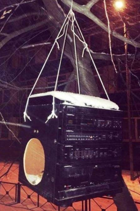 A téli madáretetés szabálya