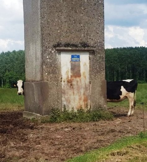 Hosszú tehén nem létezik...