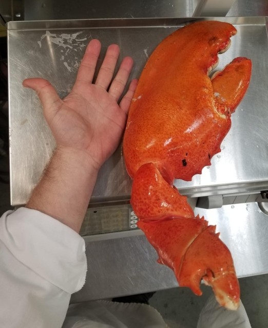 Ma rák lesz ebédre