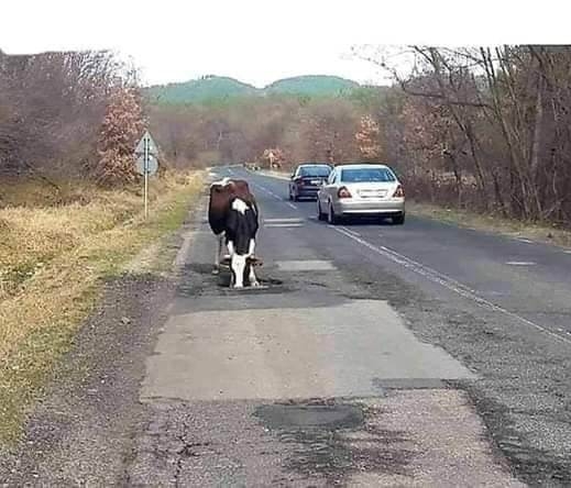Napi helyreigazító