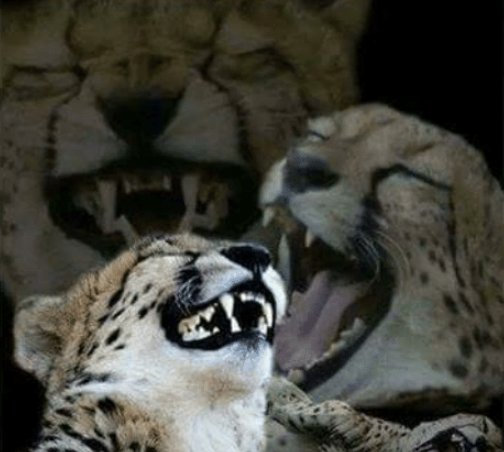 Amikor egy ember elkezd rohanni, hogy elmeneküljön előled