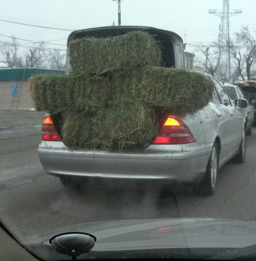 Fuvarban a szállító