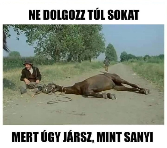 Csak óvatosan a hosszú hétvége után...