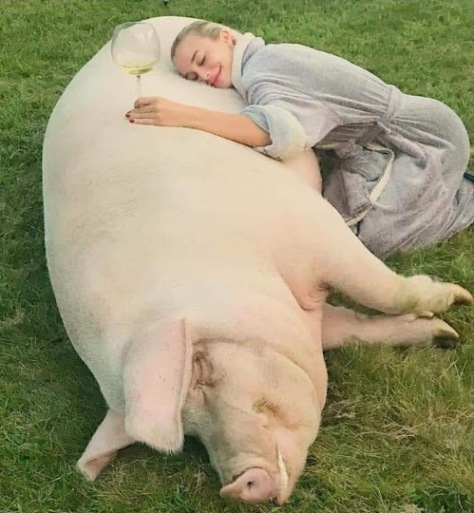 Egy képen minden, amit szeretek...