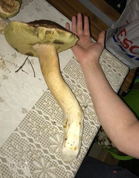 Eközben Csernobilban