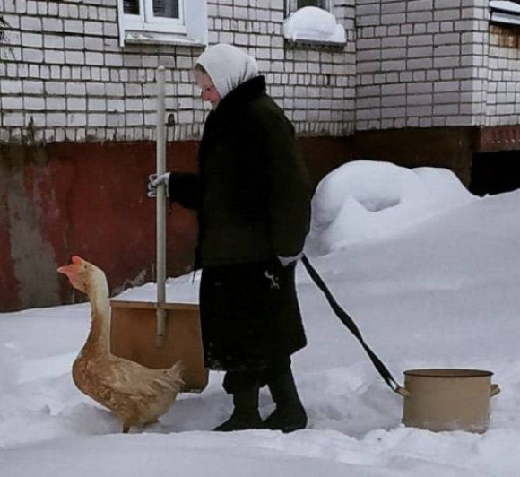 Csókolom, hová lesz a séta?