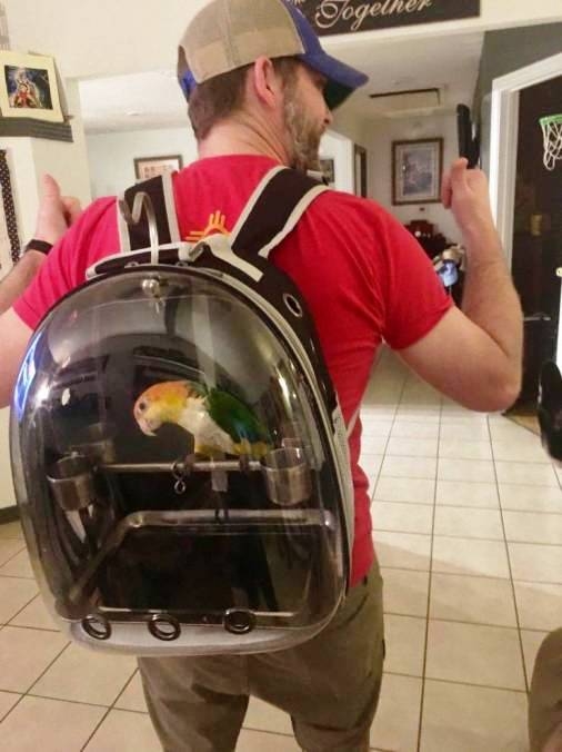 Gyurikát ma elvitték világot látni