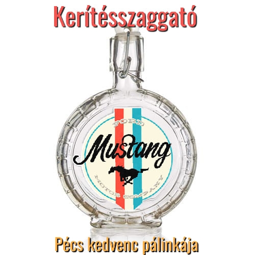 Napi gyümölcspárlat