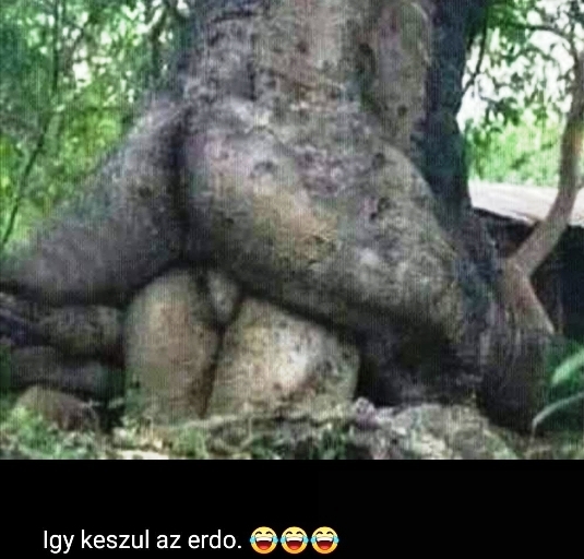 Szex a természetben