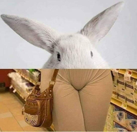 Füles nuni...pardon, néni