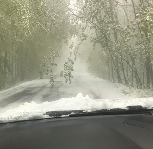 Május 6. - Nagyvisnyó, Heves megye