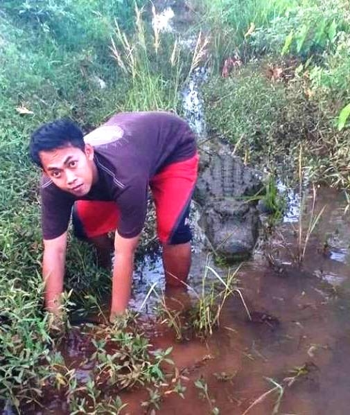 Tesó, enyém lehet az új Ájfonod?