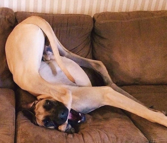 Egy lábnak nem csak szaga lehet