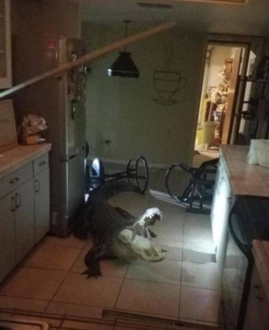 Induljon jól a reggel