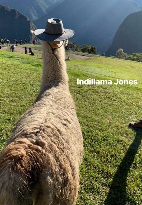 Indillama Jones