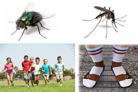 Amikor ezek megjelennek, akkor tudod, hogy nyár van