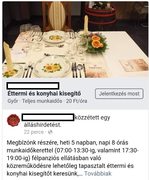 Állásajánlat