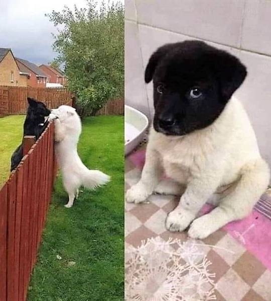 Íme a szerelmük gyümölcse