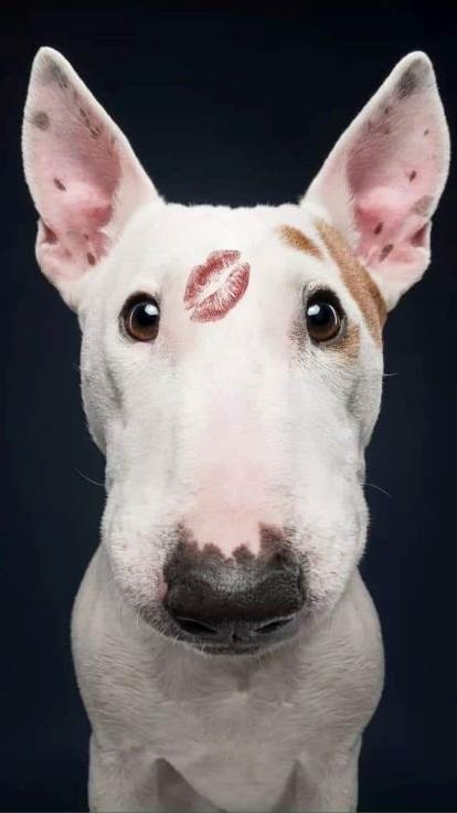 Csak azért is édes vagyok!