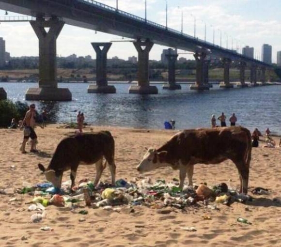 Eközben az oroszoknál