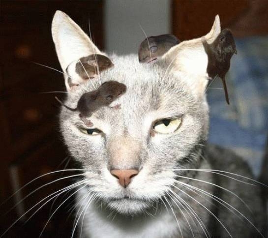 Hétfőm a melóhelyen :D