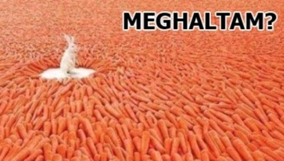 Álom vagy valóság?