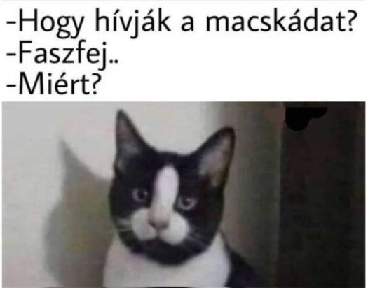 Napi gonosz