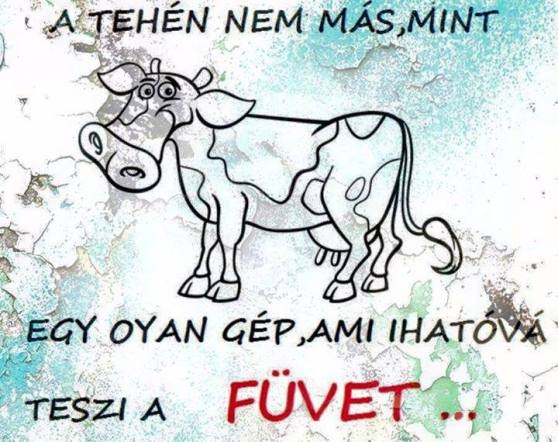 ...és tényleg!