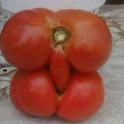 Amikor kopogás nélkül nyitod ki a hűtőt...