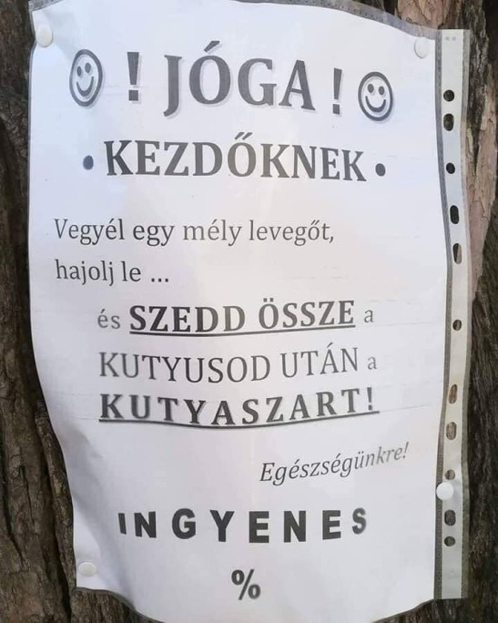 Jóga kezdőknek
