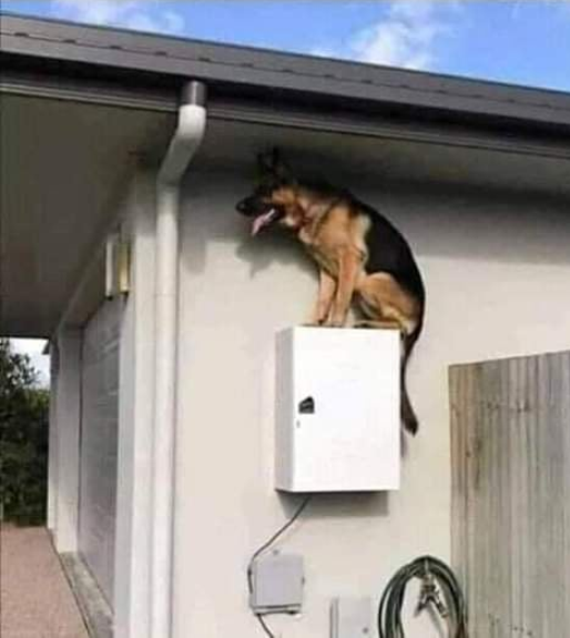 Vezeték nélküli, rejtett riasztó