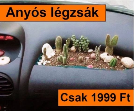 Kedves mama! Nincs kedve kocsikázni?