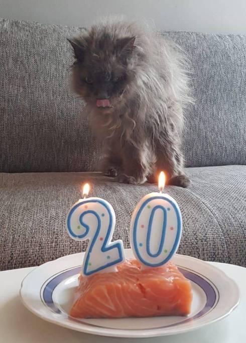 Szép hosszú kort megélt...