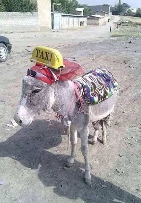 Fater kiváltotta az ipart