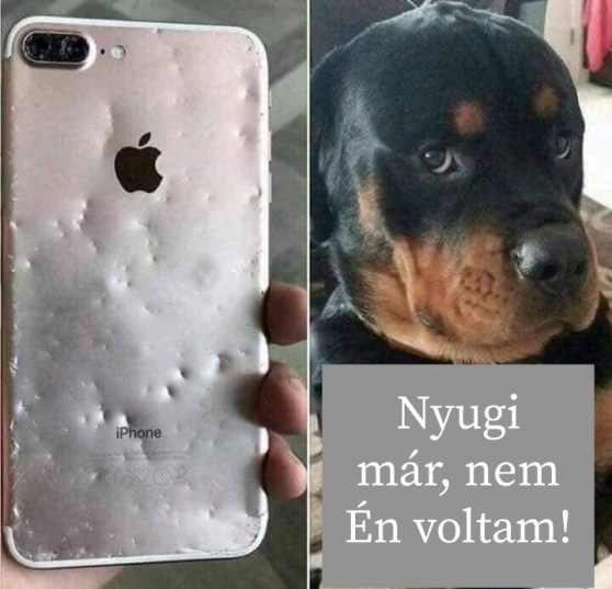 Inkább ismerd be, hamarabb szabadulsz