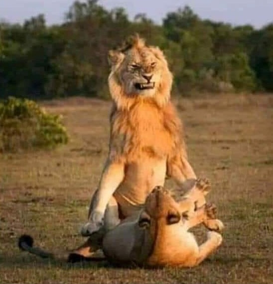 Amikor dugás közben beléd áll a görcs