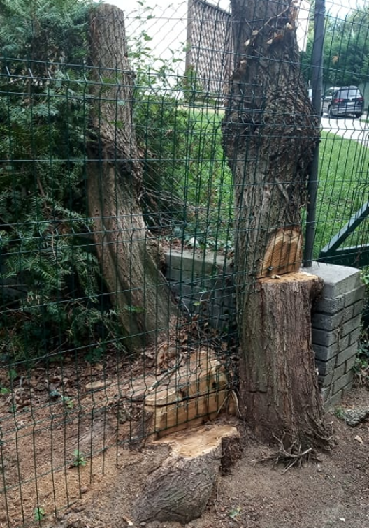 Akácos út, ha (láncfűrésszel ) végigmegyek rajtad én...