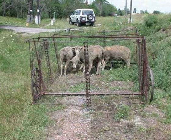 Tologatható, mobil fűnyíró
