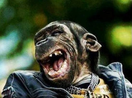 Meggyütt a családi gyerekek