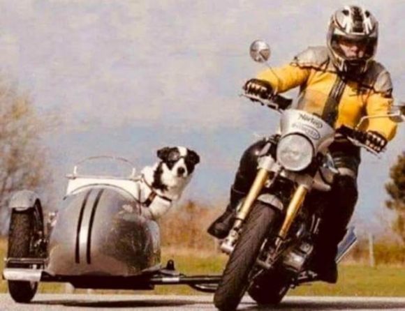 Amikor a kutyád is ráérez az ízére...