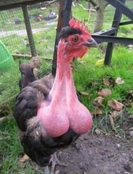 Kidobta a dekoltázst az öreg tyúk