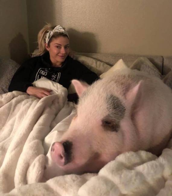 Kellemes vasárnap reggelt!