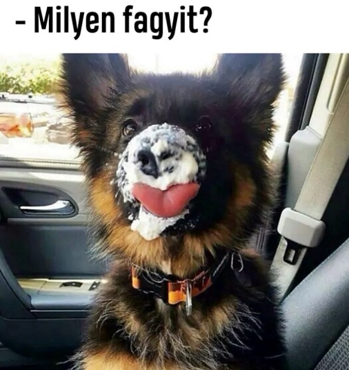 Te etted meg a fagyimat?!