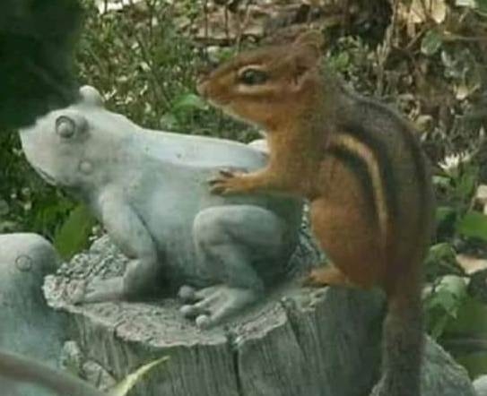 Amikor már jóideje szingli vagy, és minden alkalmat kihasználsz!